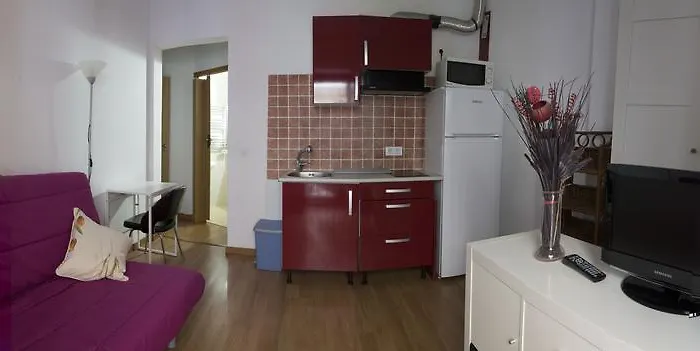 埃尔帕蒂奥德米卡萨公寓式酒店 公寓 托萊多