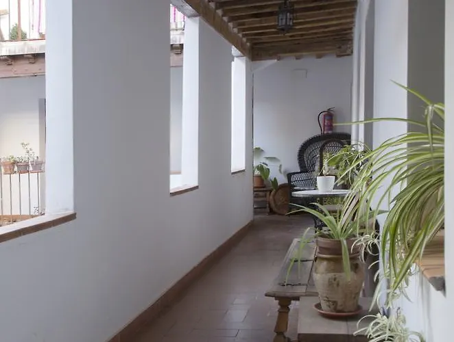 埃尔帕蒂奥德米卡萨公寓式酒店 公寓 *