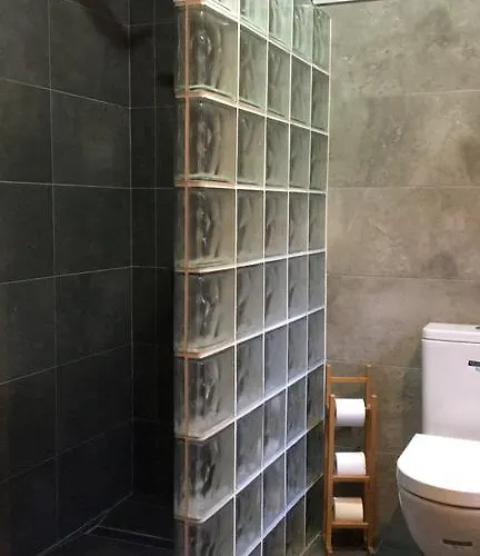 埃尔帕蒂奥德米卡萨公寓式酒店 * 托萊多