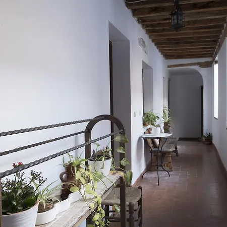 Apartamento El Patio De Mi Casa Toledo